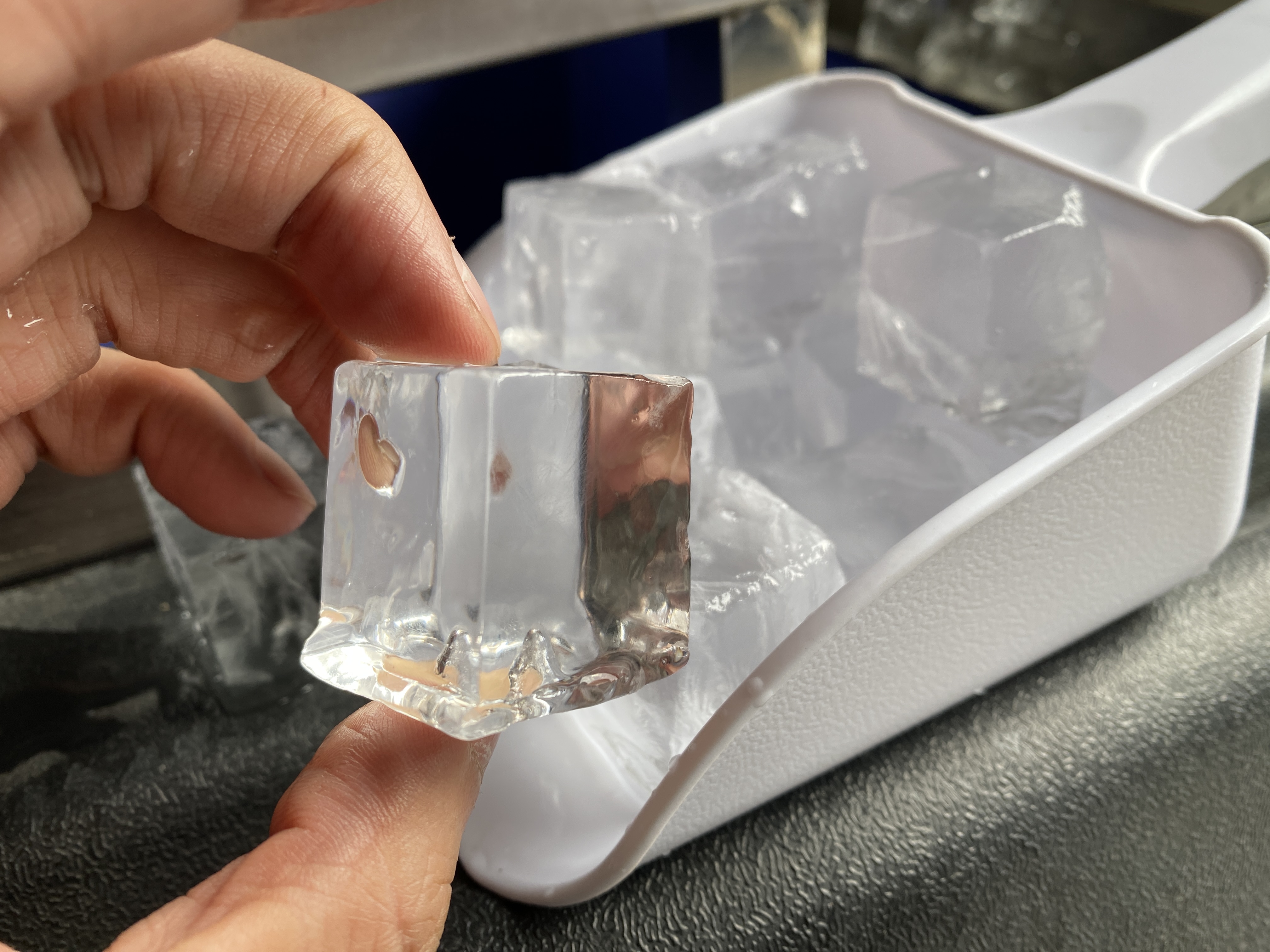 Electric Commercial Cube Ice M – Coffee & Tea Collective recenzja i cena