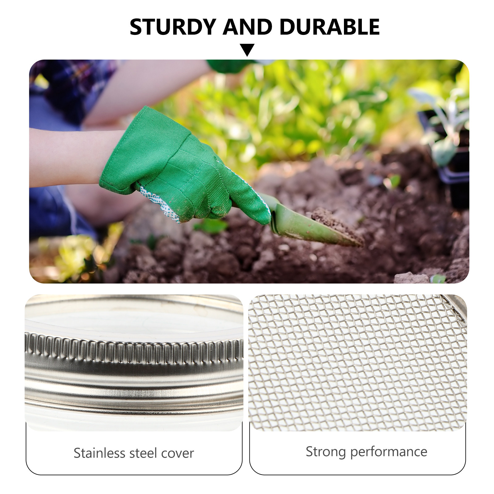 3Pcs Stainless Steel Sprouting – Coffee Tea Beans recenzja i cena