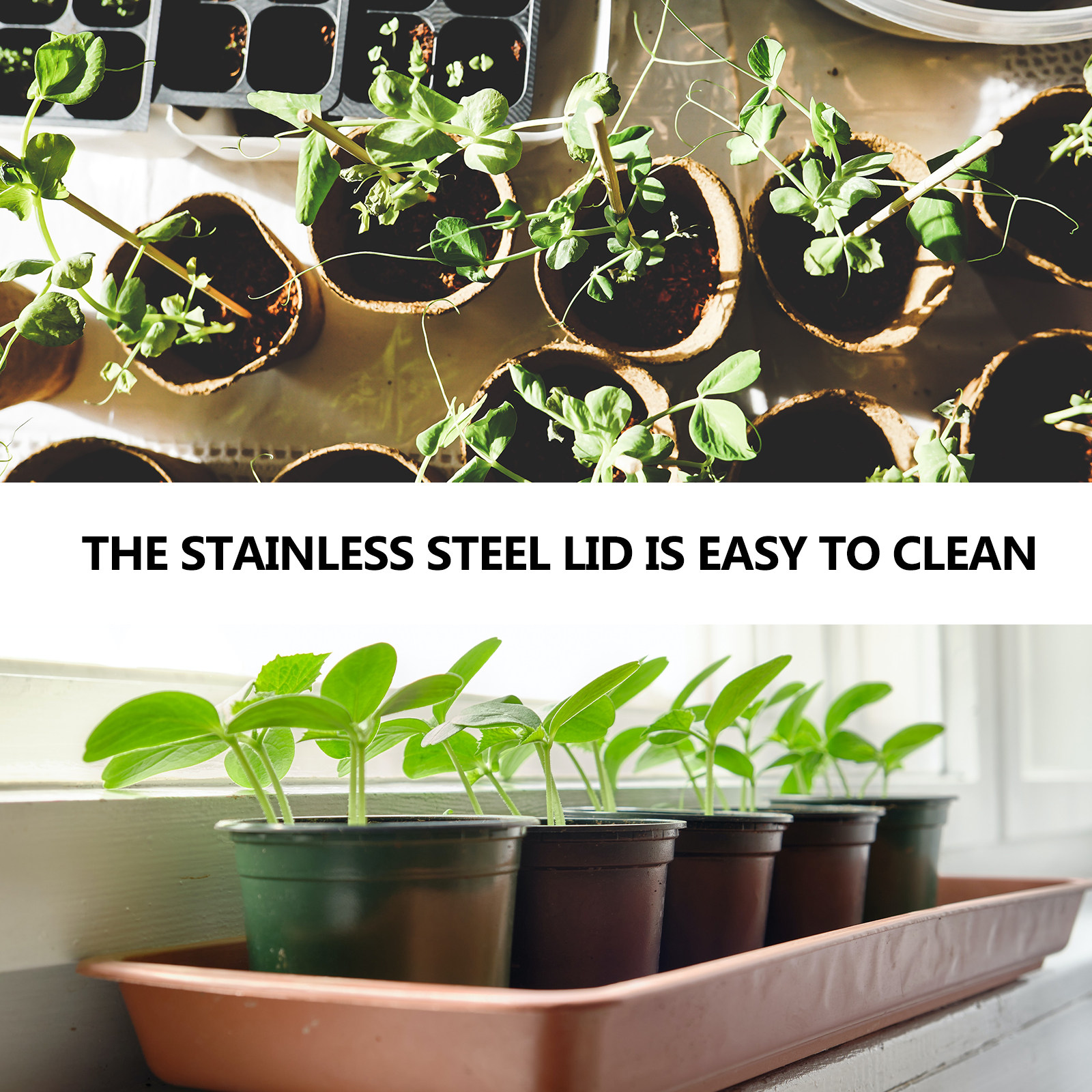 3Pcs Stainless Steel Sprouting – Coffee Tea Beans recenzja i cena